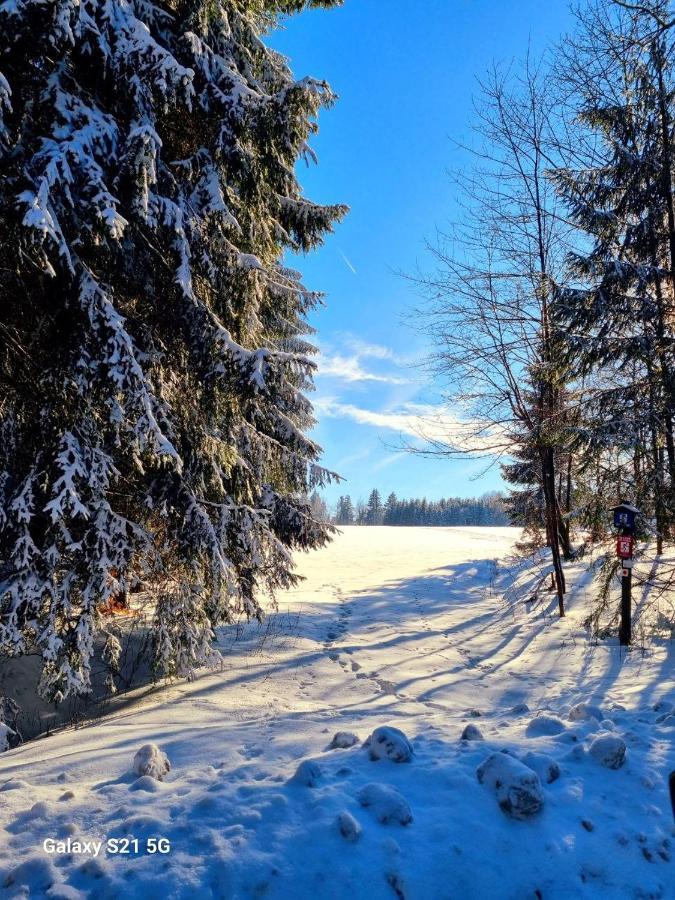 Ferienhaeuser Olbernhau Erzgebirge Ngoại thất bức ảnh