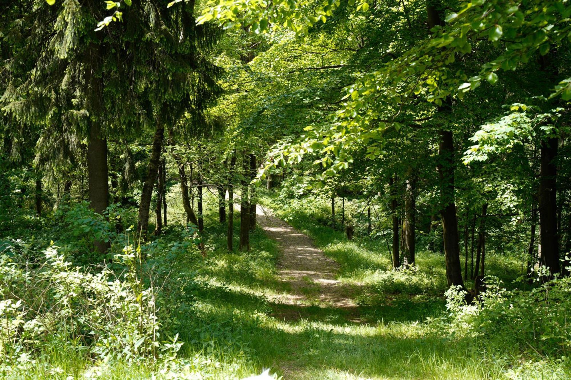 Ferienhaeuser Olbernhau Erzgebirge Ngoại thất bức ảnh